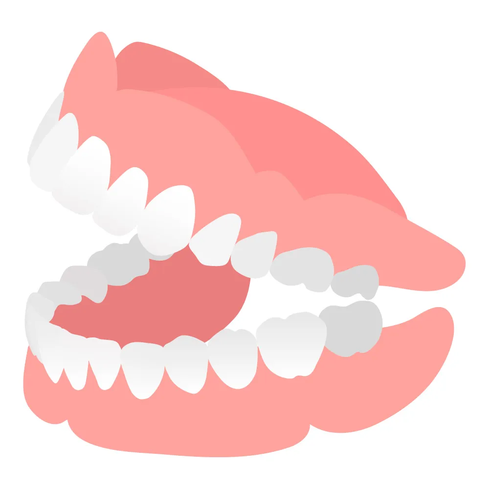 入れ歯のイラスト