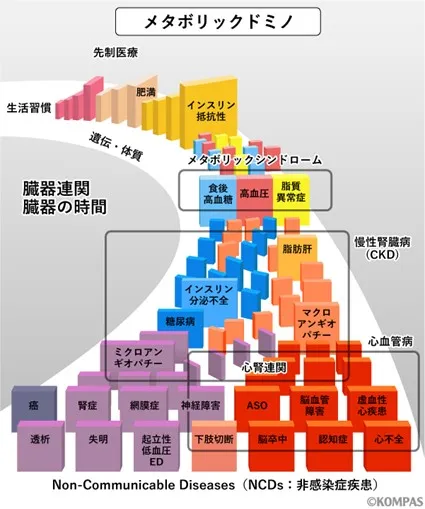 歯周病と疾患とのつながりについての図